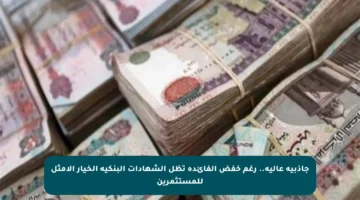 جاذبية عالية.. رغم خفض الفائدة تظل الشهادات البنكية الخيار الأمثل للمستثمرين